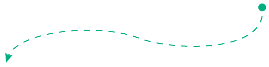 Seta